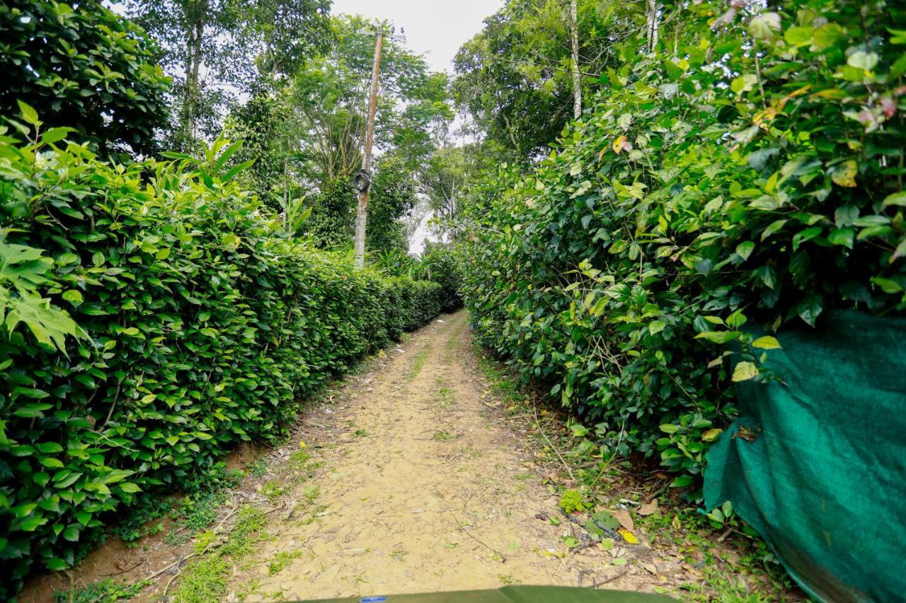 Thekkady Kalarickal Heritage Bungalow Vandanmedu Εξωτερικό φωτογραφία