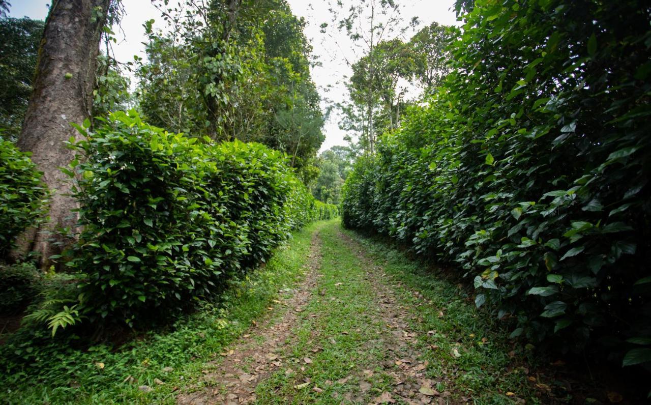 Thekkady Kalarickal Heritage Bungalow Vandanmedu Εξωτερικό φωτογραφία